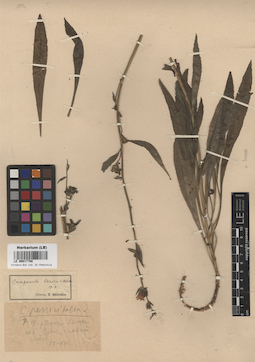 LE 00017788