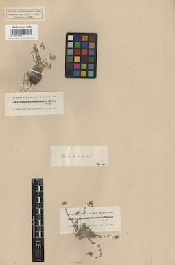 LE 00017791