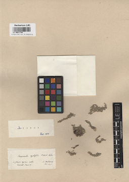 LE 00017794