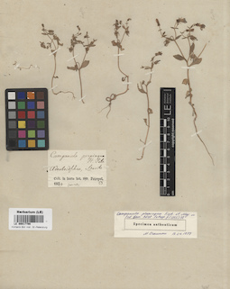 LE 00017798