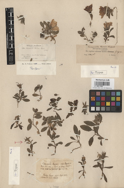 LE 00017802