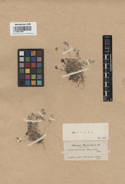 LE 00017805