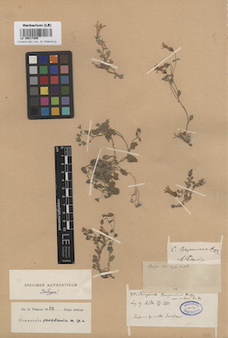LE 00017809