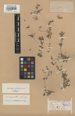 LE 00017810