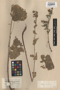 LE 00017813