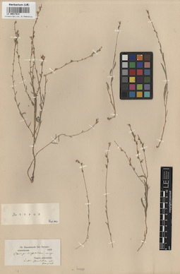 LE 00017814