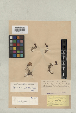LE 00017815
