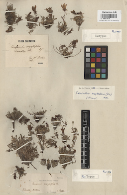 LE 00017818
