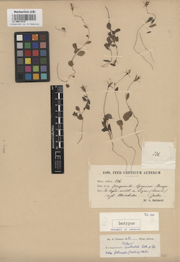 LE 00017819