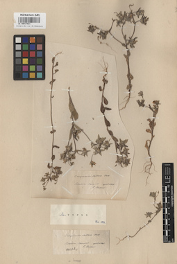 LE 00017821