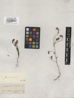 LE 00017824