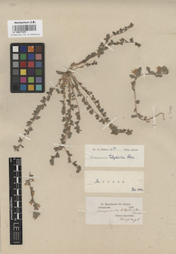 LE 00017825