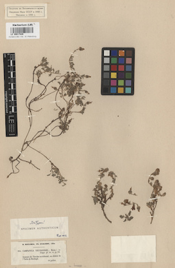 LE 00017826