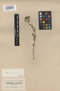 LE 00017827