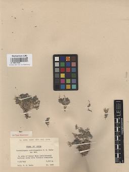 LE 00017828