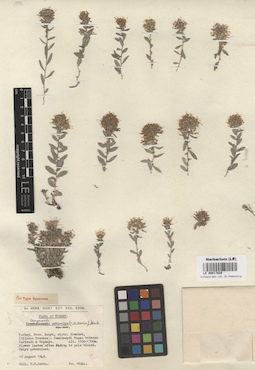 LE 00017829