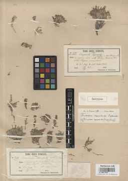 LE 00017832