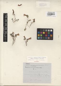 LE 00017836