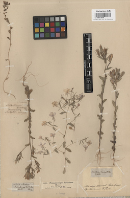 LE 00017839