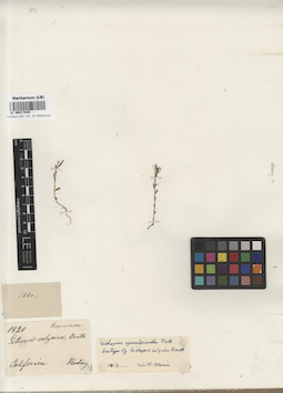LE 00017840