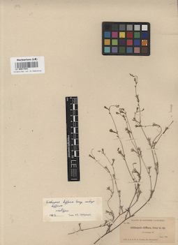 LE 00017841
