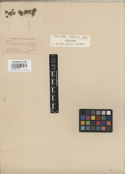 LE 00017845
