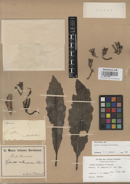 LE 00017852