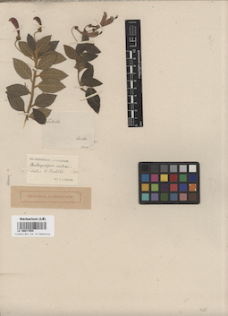 LE 00017854