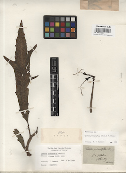 LE 00017865