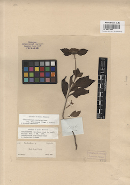 LE 00017869