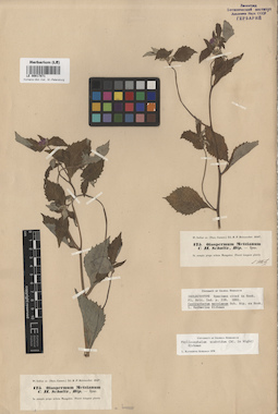 LE 00017871