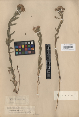 LE 00017884