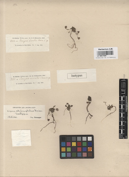 LE 00017889