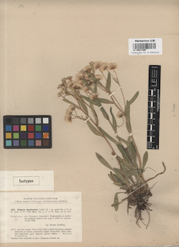 LE 00017890