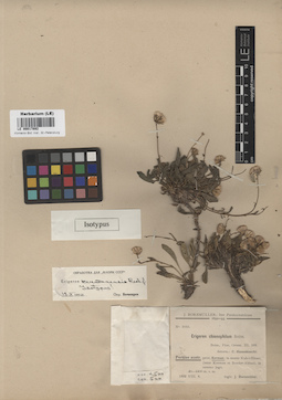 LE 00017892