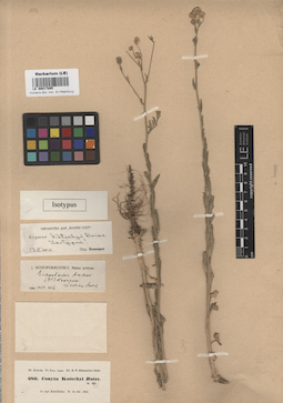 LE 00017895