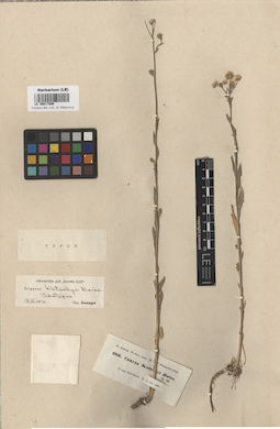 LE 00017896