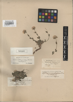 LE 00017897