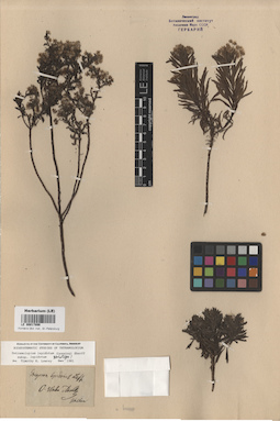 LE 00017898