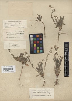 LE 00017902