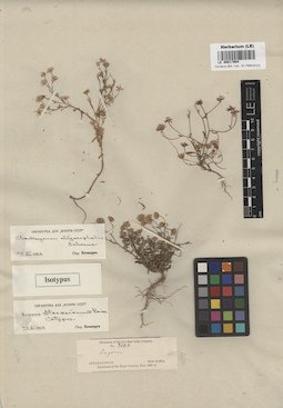 LE 00017904
