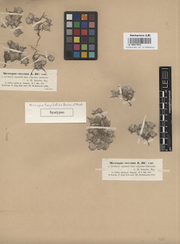 LE 00017918