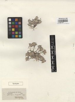 LE 00017919