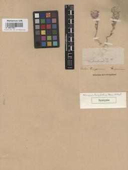 LE 00017921