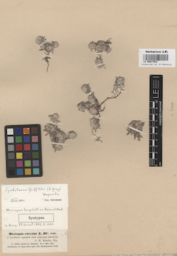 LE 00017922