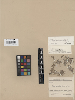 LE 00017928
