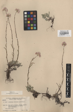 LE 00017929