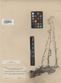 LE 00017930