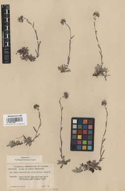 LE 00017935