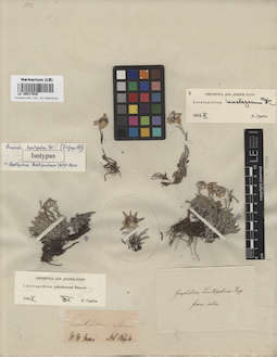 LE 00017936